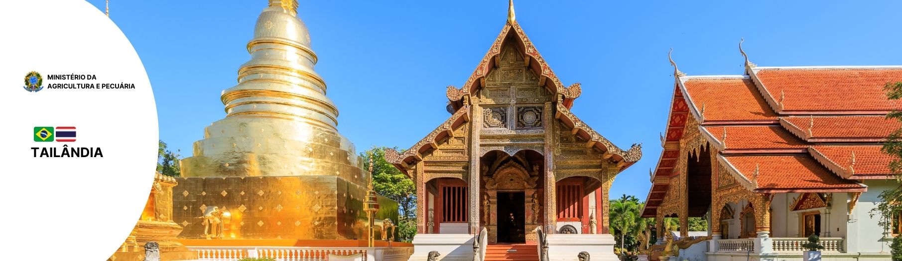 Adidância Agrícola - Bangkok / Tailândia