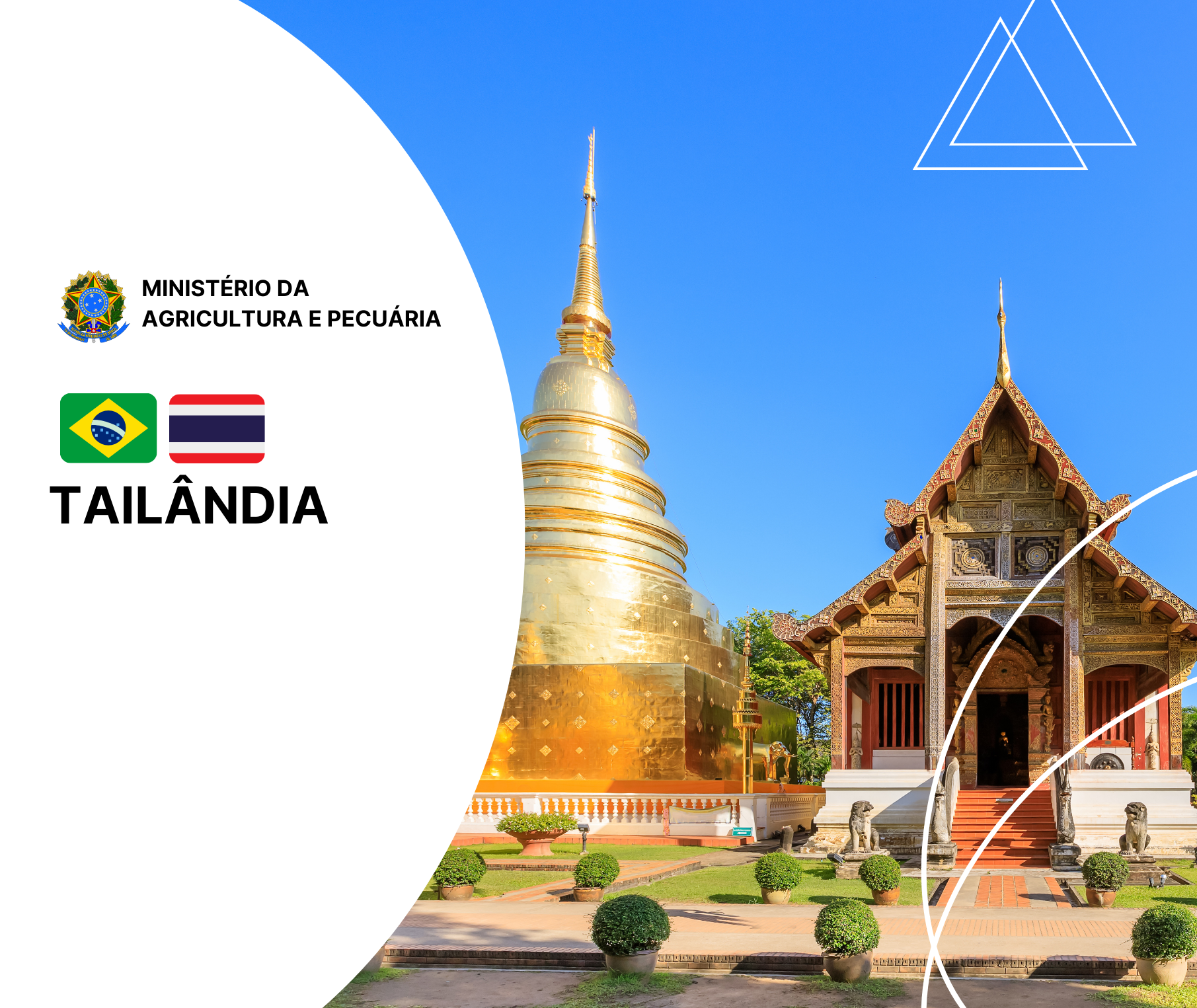 Adidância Agrícola - Bangkok / Tailândia