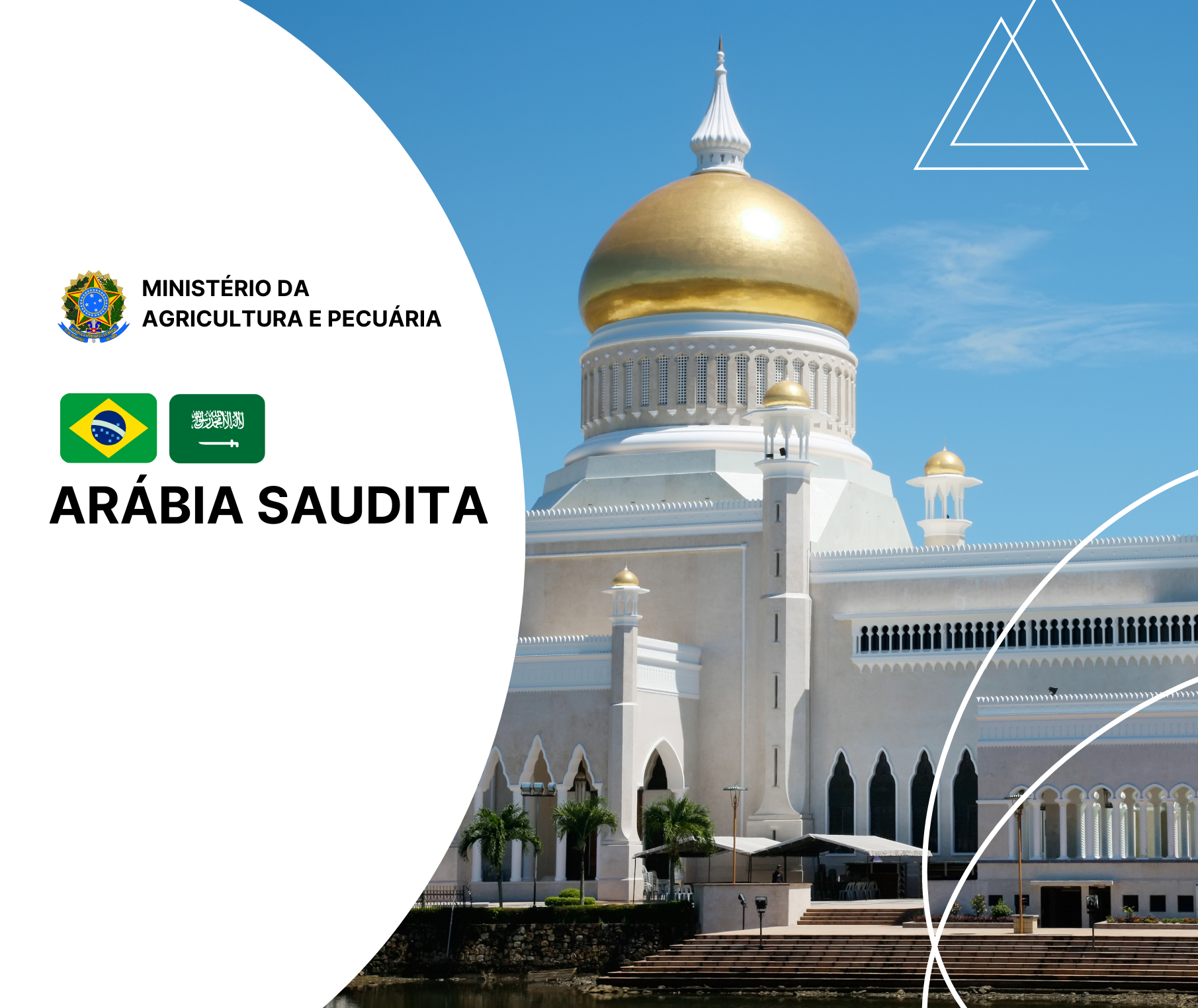 Adidância Agrícola - Riade/Arábia Saudita