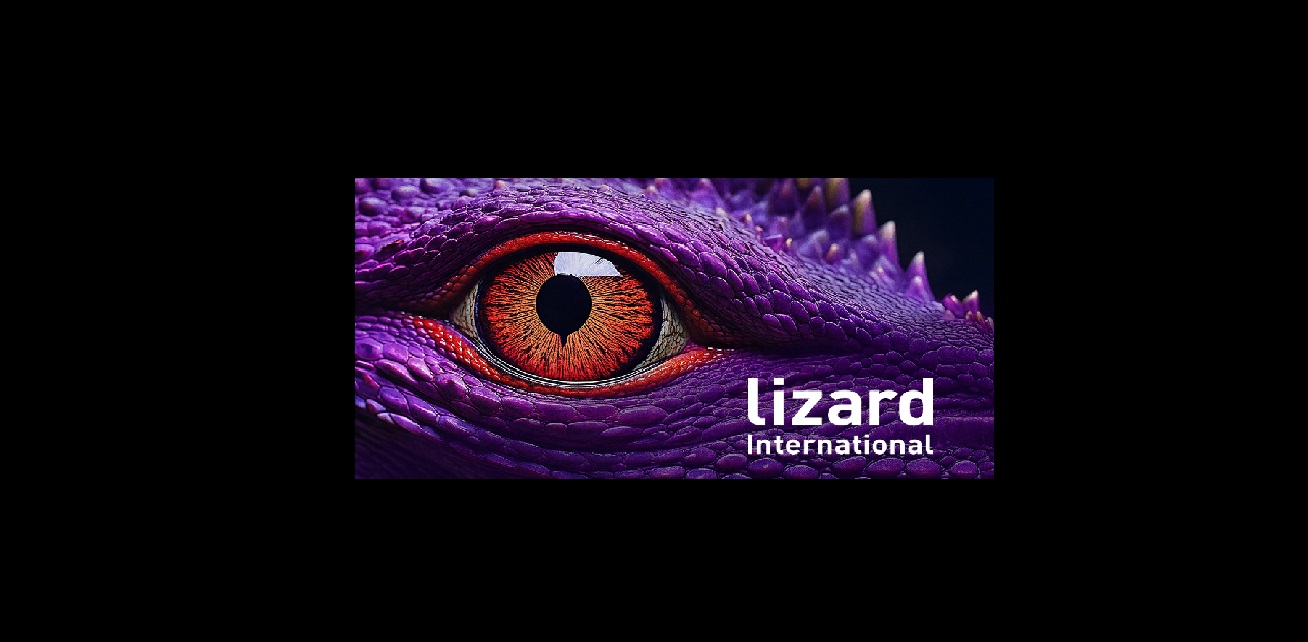 LIZARD INTERNATIONAL